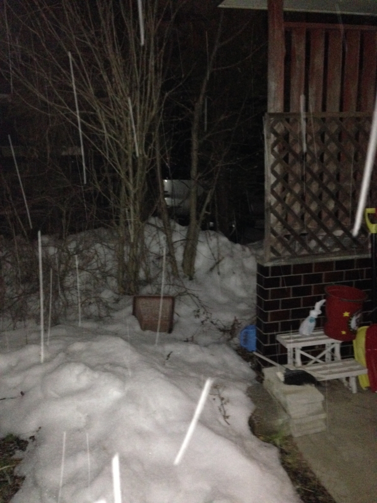 f:id:JunchanObachan:20160208225254j:plain f:id:JunchanObachan:20160208225254j:plain