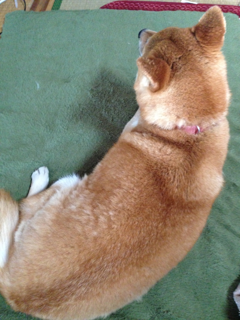 f:id:JunchanObachan:20160608212316j:plain