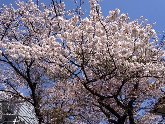 f:id:K-norita0426:20140411180039j:plain f:id:K-norita0426:20140411180039j:plain