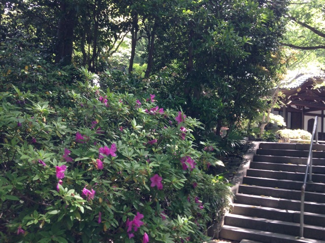 f:id:K-norita0426:20140514185812j:plain f:id:K-norita0426:20140514185812j:plain