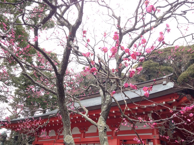f:id:K-norita0426:20150210183735j:plain f:id:K-norita0426:20150210183735j:plain