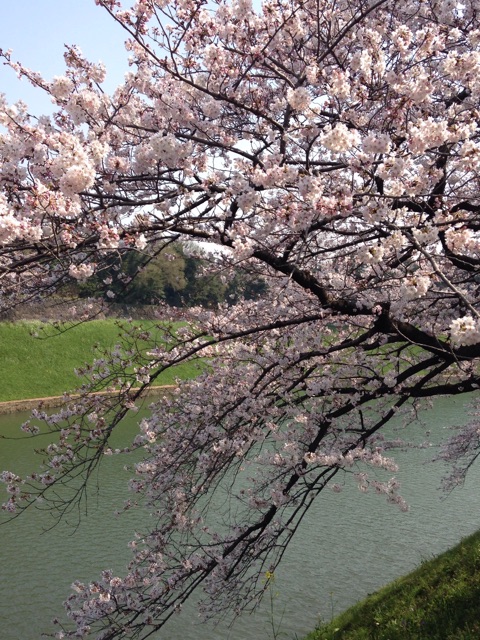 f:id:K-norita0426:20150402173609j:plain f:id:K-norita0426:20150402173609j:plain