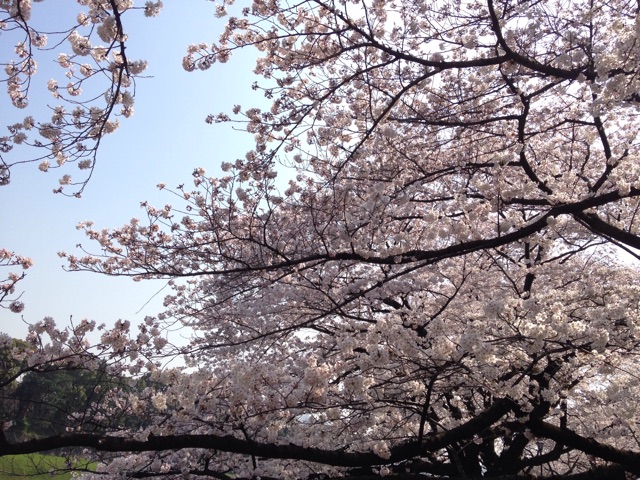 f:id:K-norita0426:20150402173650j:plain f:id:K-norita0426:20150402173650j:plain