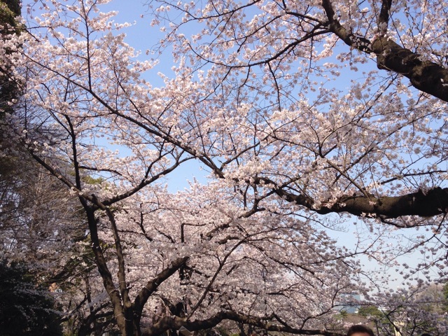 f:id:K-norita0426:20150402173705j:plain f:id:K-norita0426:20150402173705j:plain