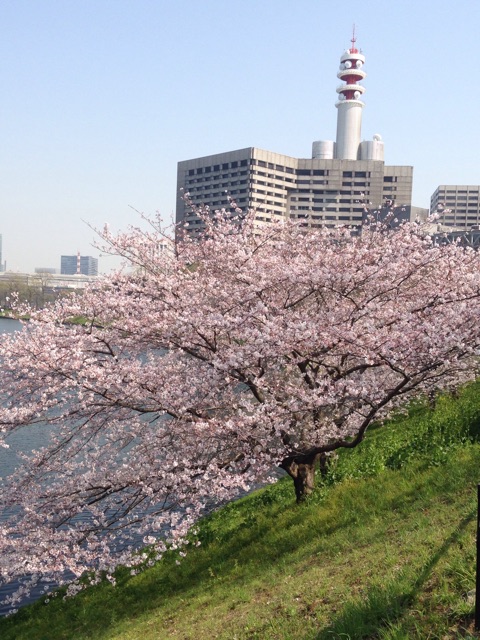 f:id:K-norita0426:20150402173736j:plain f:id:K-norita0426:20150402173736j:plain