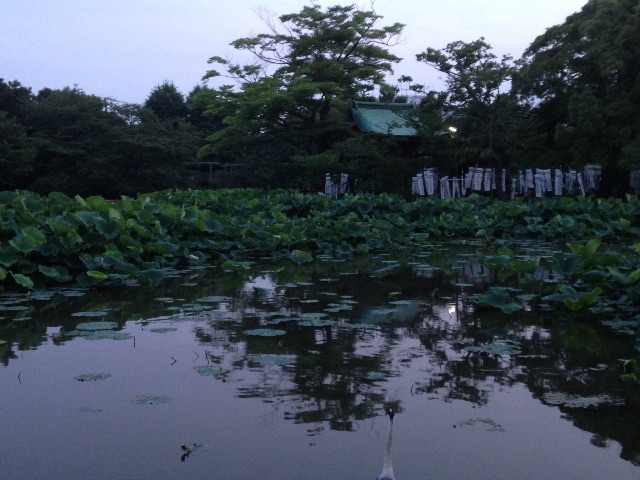 f:id:K-norita0426:20150617170944j:image f:id:K-norita0426:20150617170944j:image