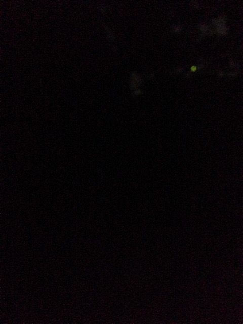 f:id:K-norita0426:20150617171120j:image f:id:K-norita0426:20150617171120j:image