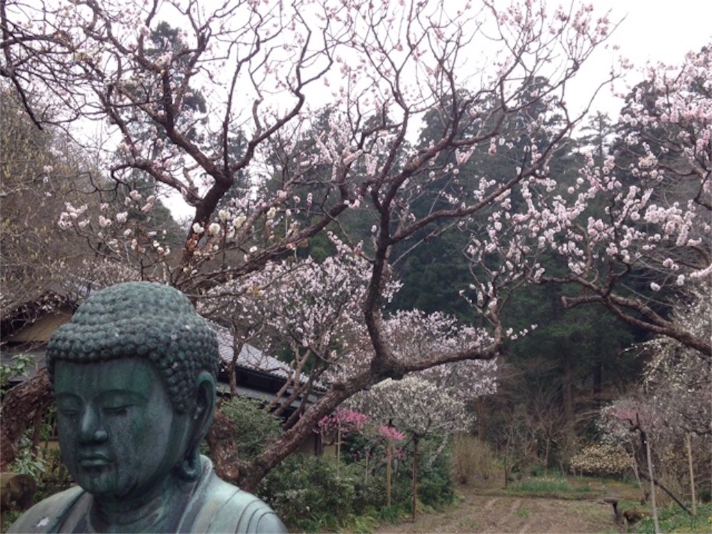 f:id:K-norita0426:20151006173648j:image f:id:K-norita0426:20151006173648j:image