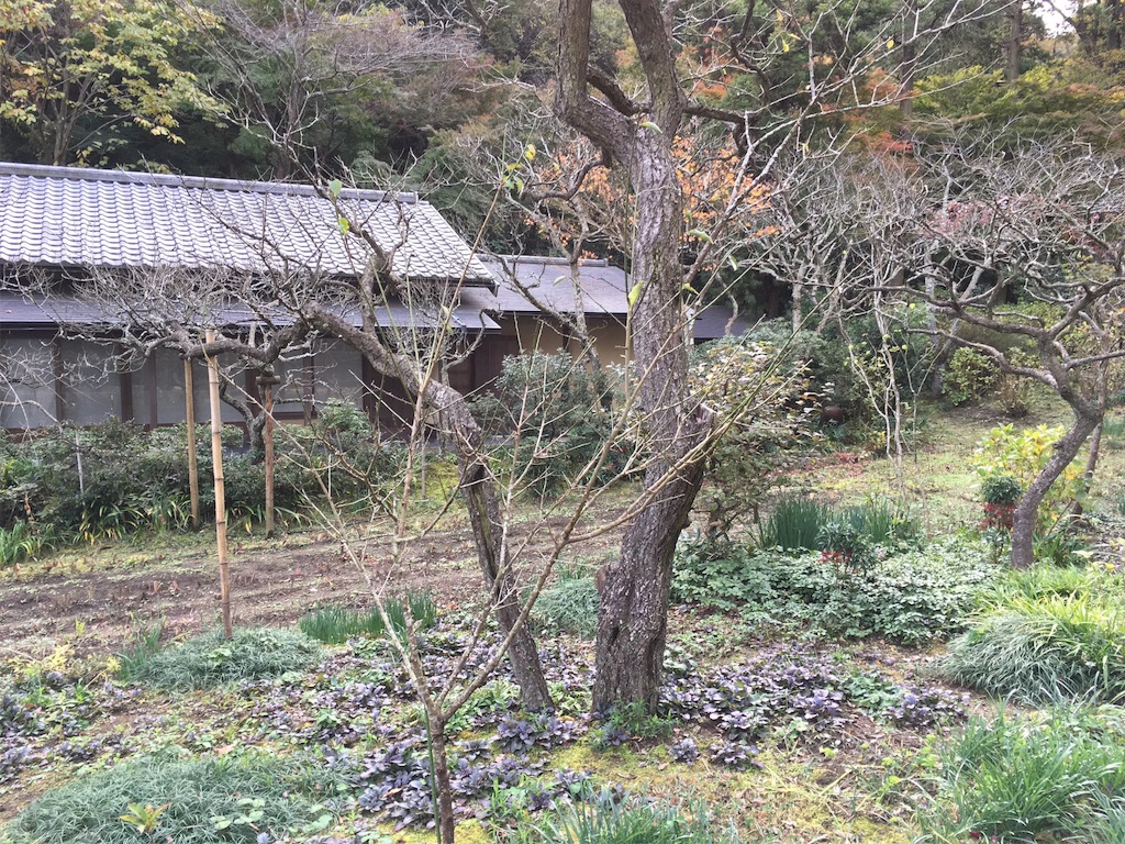 f:id:K-norita0426:20151201190101j:image f:id:K-norita0426:20151201190101j:image