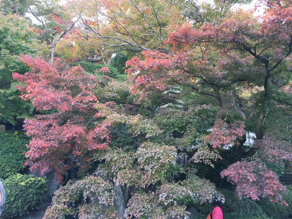 f:id:K-norita0426:20151203173431j:image f:id:K-norita0426:20151203173431j:image
