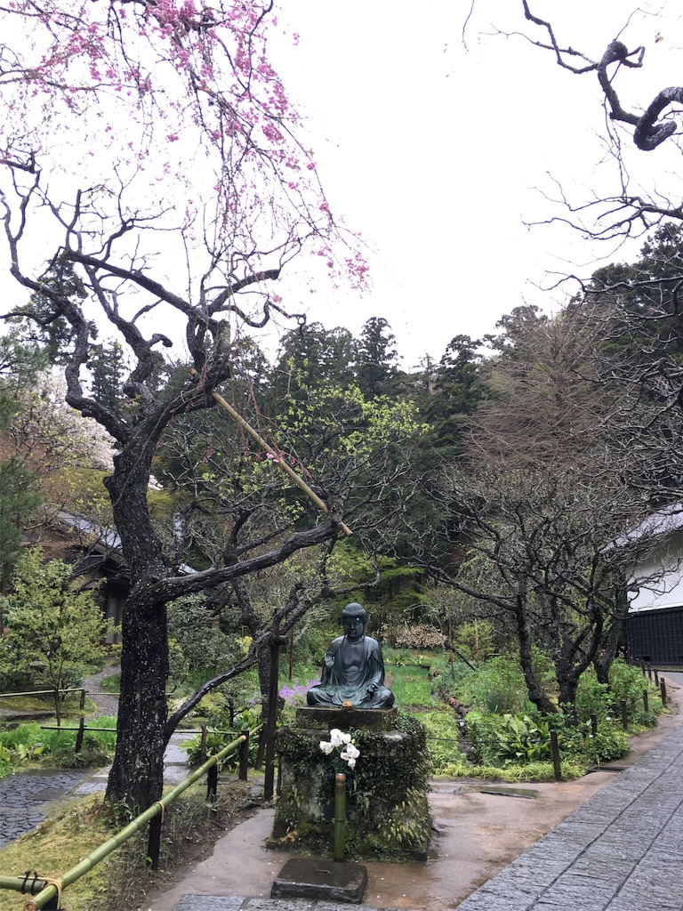 f:id:K-norita0426:20160405180228j:image f:id:K-norita0426:20160405180228j:image