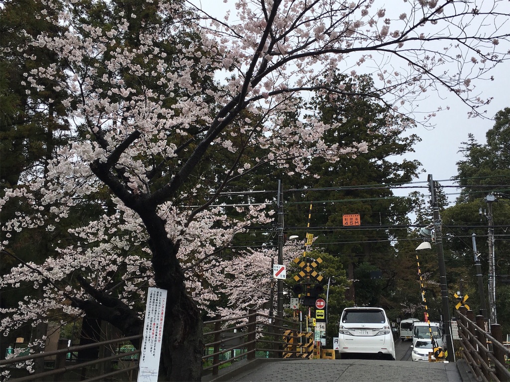 f:id:K-norita0426:20160405180330j:image f:id:K-norita0426:20160405180330j:image