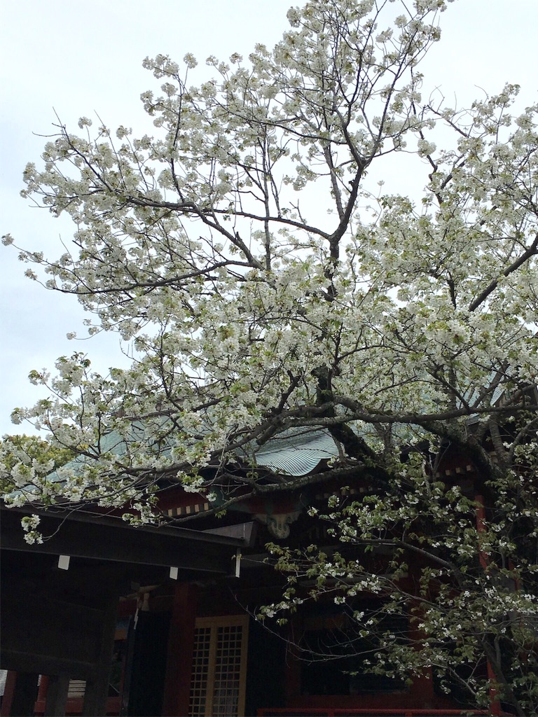 f:id:K-norita0426:20160406181423j:image f:id:K-norita0426:20160406181423j:image