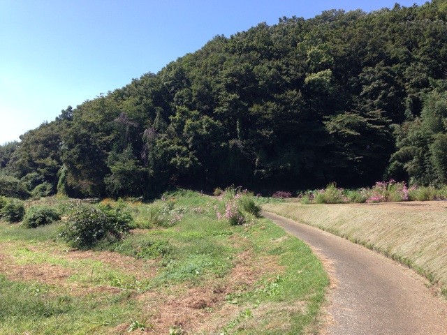 f:id:KARIGON:20140928171333j:plain f:id:KARIGON:20140928171333j:plain