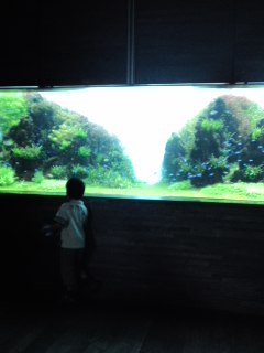 f:id:KATOMI:20120619113718j:image f:id:KATOMI:20120619113718j:image