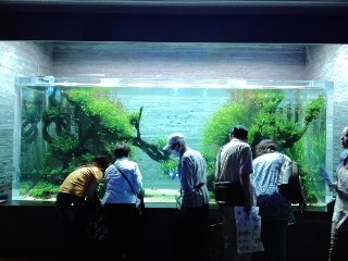 f:id:KATOMI:20120619113728j:image f:id:KATOMI:20120619113728j:image