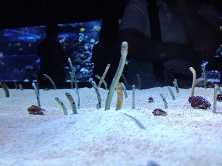 f:id:KATOMI:20120619113945j:image f:id:KATOMI:20120619113945j:image
