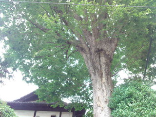 f:id:KATOMI:20120708074541j:image f:id:KATOMI:20120708074541j:image