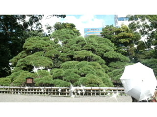 f:id:KATOMI:20120928101331j:image f:id:KATOMI:20120928101331j:image