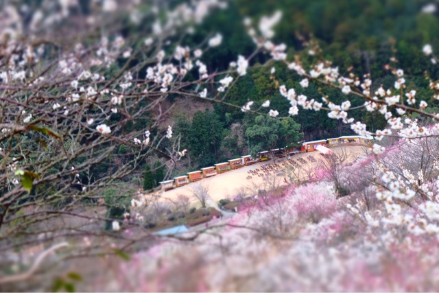 f:id:KATOMI:20150306102300j:plain f:id:KATOMI:20150306102300j:plain