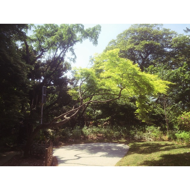 f:id:KAZUYA_Lillies_and_Remains:20150509213652j:image f:id:KAZUYA_Lillies_and_Remains:20150509213652j:image