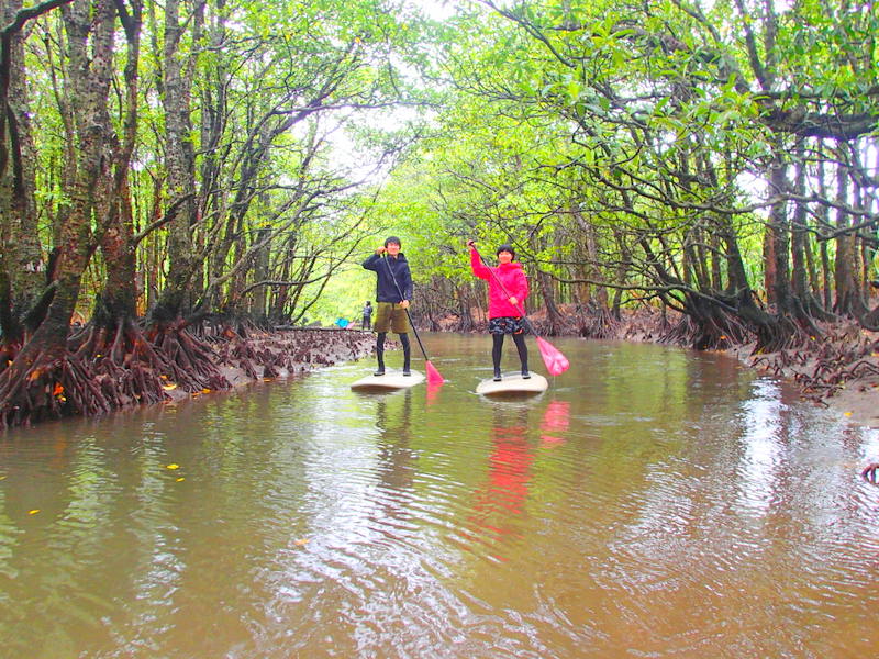 f:id:KEN-GUIDE:20150306235143j:plain f:id:KEN-GUIDE:20150306235143j:plain