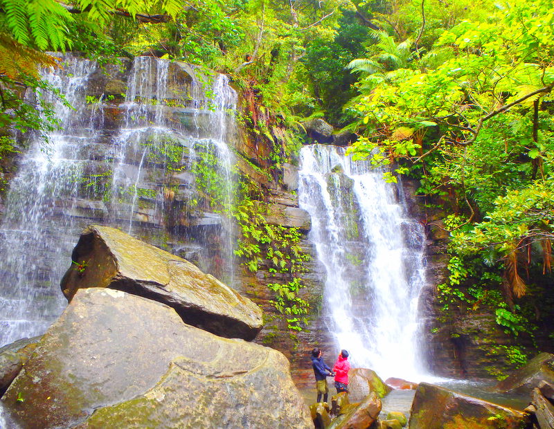 f:id:KEN-GUIDE:20150306235314j:plain f:id:KEN-GUIDE:20150306235314j:plain