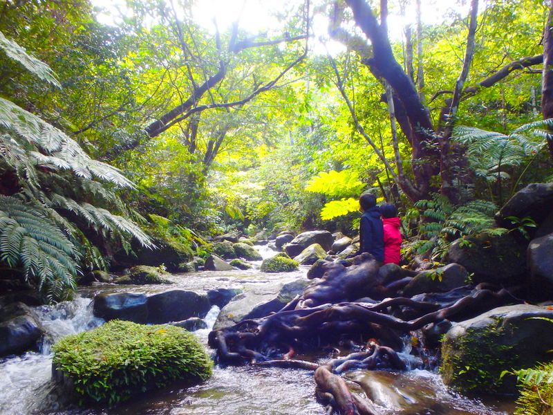 f:id:KEN-GUIDE:20150306235456j:plain f:id:KEN-GUIDE:20150306235456j:plain
