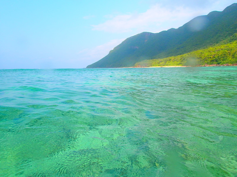 f:id:KEN-GUIDE:20150310050228j:plain f:id:KEN-GUIDE:20150310050228j:plain