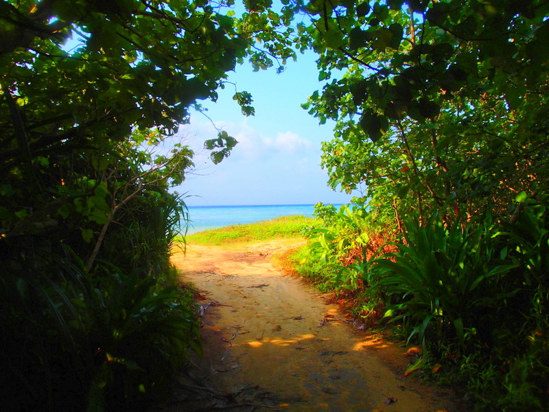 f:id:KEN-GUIDE:20150310050305j:plain f:id:KEN-GUIDE:20150310050305j:plain