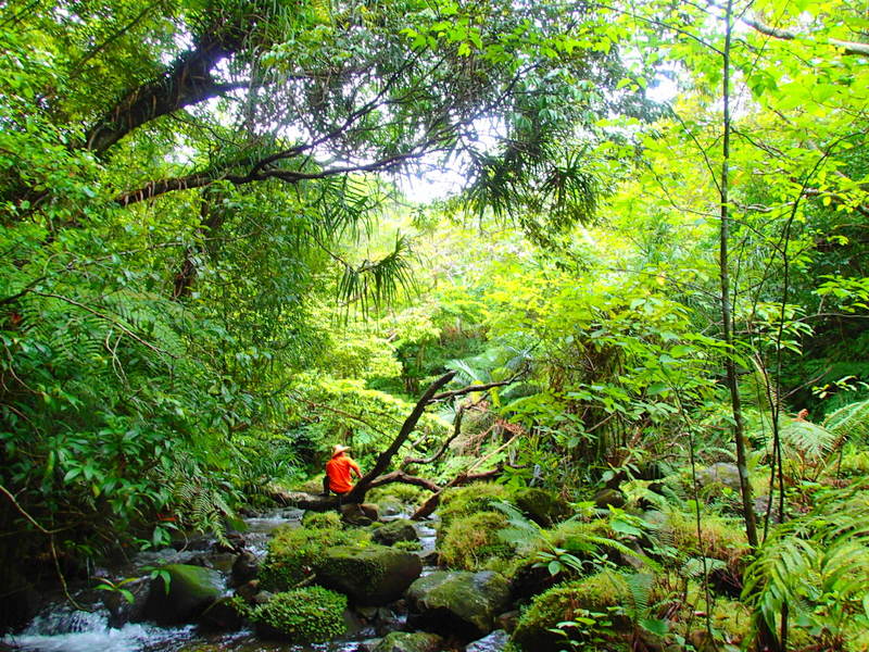 f:id:KEN-GUIDE:20150314063214j:plain f:id:KEN-GUIDE:20150314063214j:plain