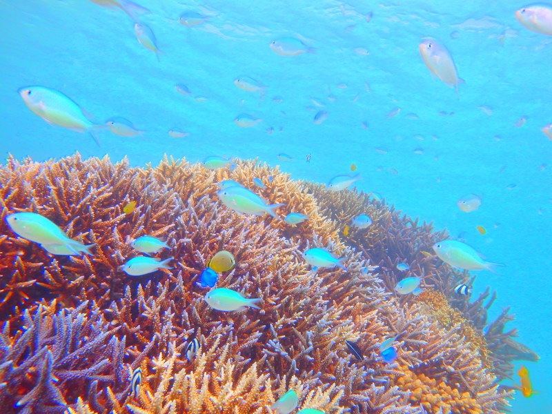 f:id:KEN-GUIDE:20150320122923j:plain f:id:KEN-GUIDE:20150320122923j:plain