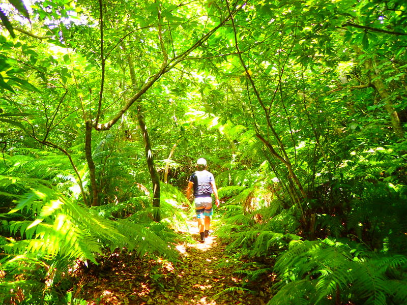 f:id:KEN-GUIDE:20150611194343j:plain f:id:KEN-GUIDE:20150611194343j:plain