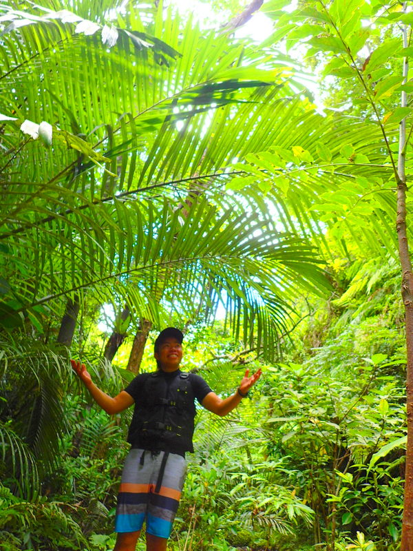 f:id:KEN-GUIDE:20150611194358j:plain f:id:KEN-GUIDE:20150611194358j:plain