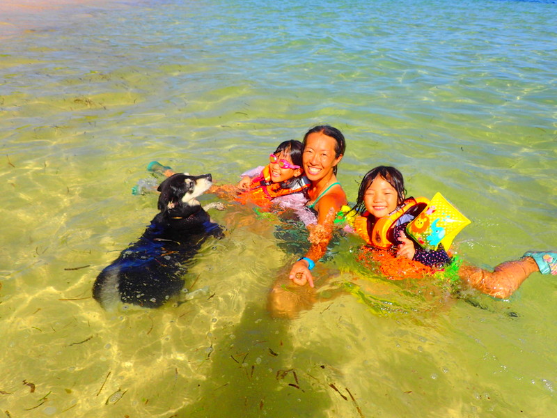 f:id:KEN-GUIDE:20150613233717j:plain f:id:KEN-GUIDE:20150613233717j:plain
