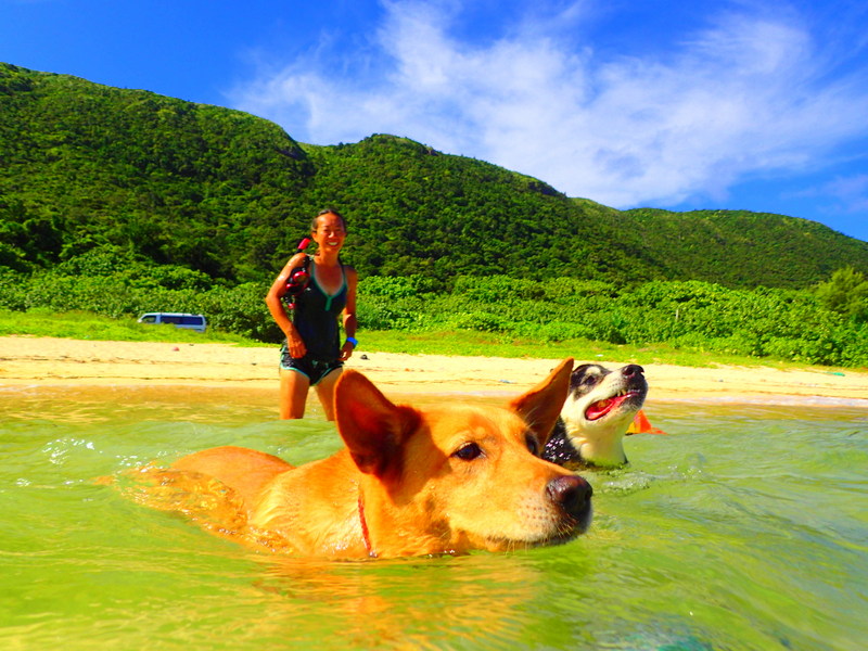 f:id:KEN-GUIDE:20150613233728j:plain f:id:KEN-GUIDE:20150613233728j:plain