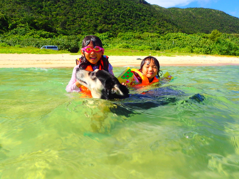 f:id:KEN-GUIDE:20150613233743j:plain f:id:KEN-GUIDE:20150613233743j:plain