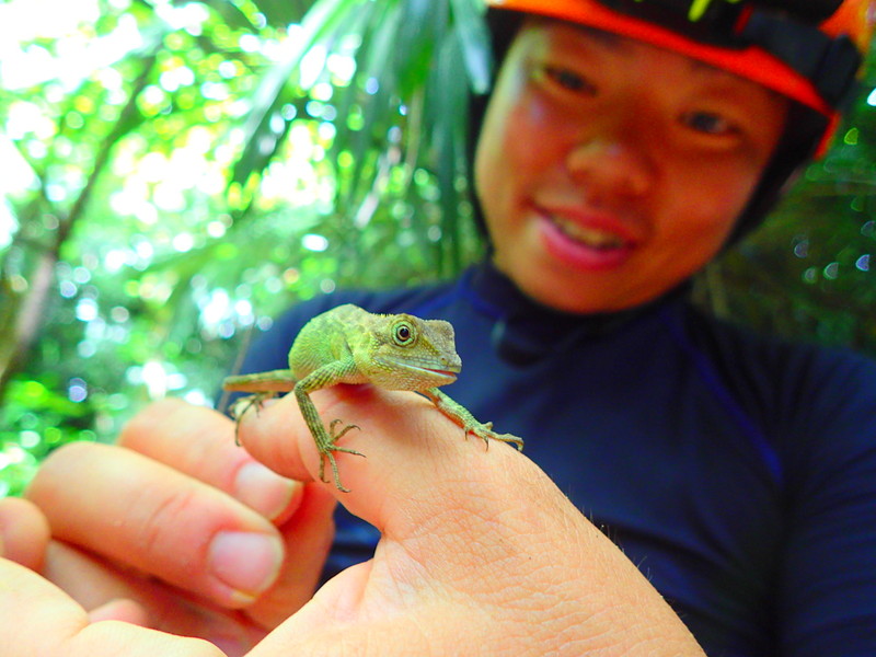f:id:KEN-GUIDE:20150614205723j:plain f:id:KEN-GUIDE:20150614205723j:plain
