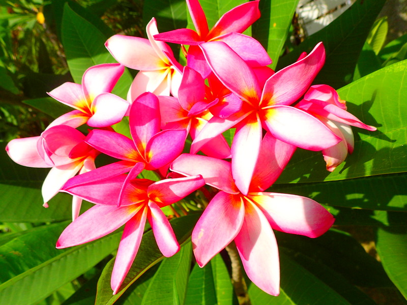 f:id:KEN-GUIDE:20150702072252j:plain