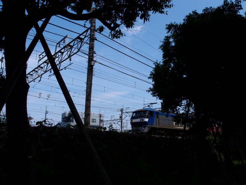 f:id:KIKUKO:20130620103459j:image f:id:KIKUKO:20130620103459j:image