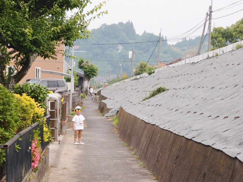f:id:KIKUKO:20130711151154j:image f:id:KIKUKO:20130711151154j:image