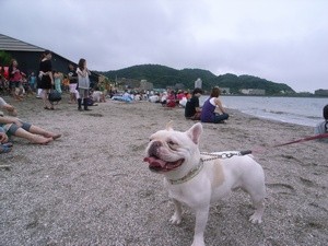 f:id:Kanaeh:20090621155152j:image