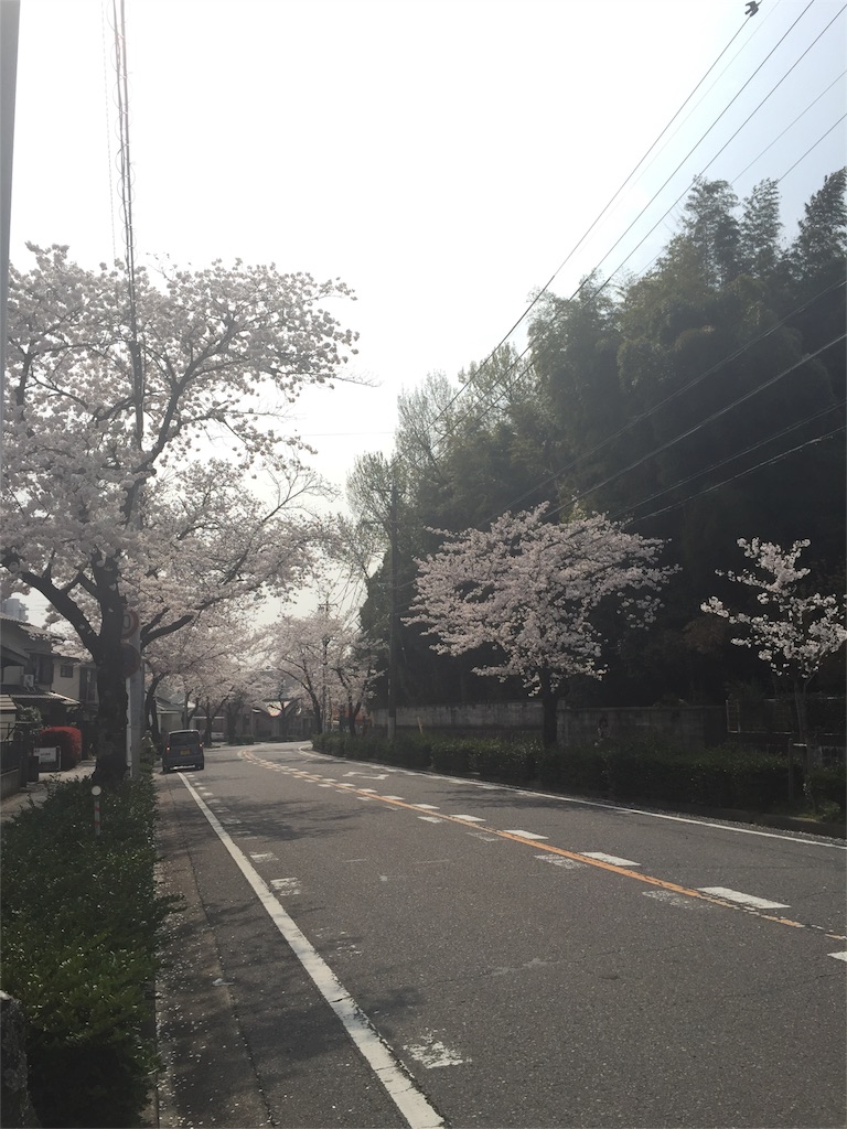 f:id:Karen_0:20160407215946j:image f:id:Karen_0:20160407215946j:image