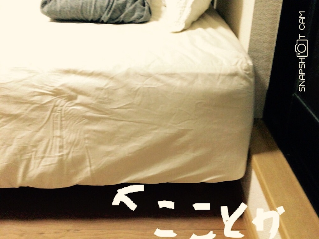 f:id:KiKiJiJi:20160514204411j:image f:id:KiKiJiJi:20160514204411j:image