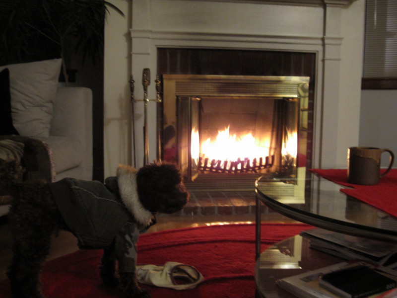 f:id:KoheiHasegawaMD:20081230183234j:image f:id:KoheiHasegawaMD:20081230183234j:image