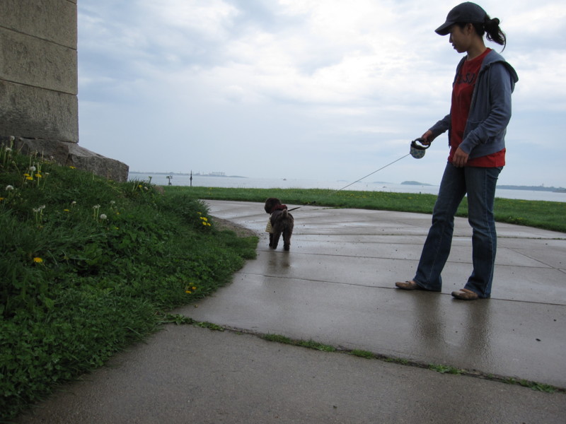 f:id:KoheiHasegawaMD:20090509113842j:image f:id:KoheiHasegawaMD:20090509113842j:image