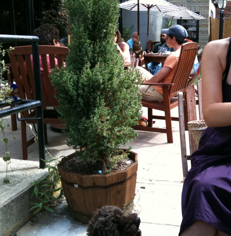 f:id:KoheiHasegawaMD:20090809101522j:image f:id:KoheiHasegawaMD:20090809101522j:image