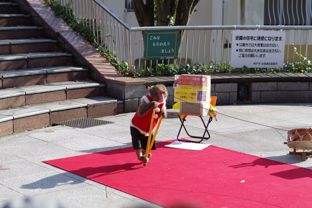 f:id:Kumacosmoto:20151220105551j:plain f:id:Kumacosmoto:20151220105551j:plain