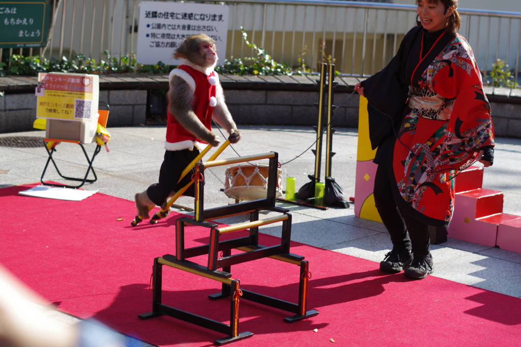 f:id:Kumacosmoto:20151222221333j:plain f:id:Kumacosmoto:20151222221333j:plain
