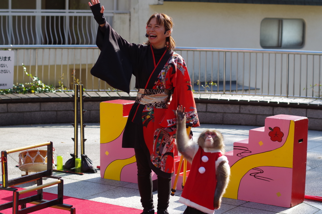f:id:Kumacosmoto:20151222222549j:plain f:id:Kumacosmoto:20151222222549j:plain